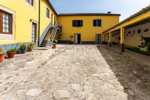 Farm i Coimbra, Coimbra, Coimbra - € 1.249.900 | Ref: ZMPT588652 - foto 47