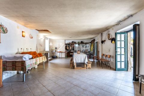 Farm i Coimbra, Coimbra, Coimbra - € 1.249.900 | Ref: ZMPT588652 - foto 50