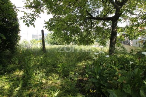 Helårsgrund i Braga, Braga, Braga - € 140.000 | Ref: ZMPT588688 - foto 16
