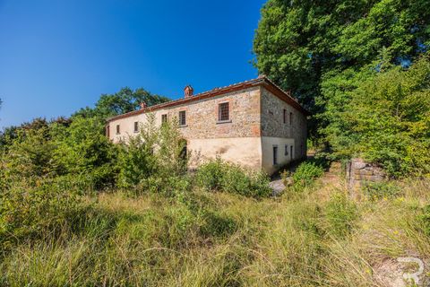 Landejendom i Arezzo, Arezzo, Arezzo - € 450.000 | Ref: R06475ARRU - foto 16