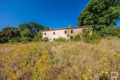 Landejendom i Arezzo, Arezzo, Arezzo - € 450.000 | Ref: R06475ARRU - foto 20