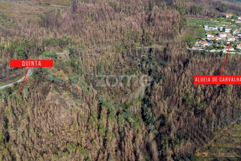 Villa i Cinfaes, Viseu, Cinfaes - € 65.000 | Ref: ZMPT588259 - foto 2