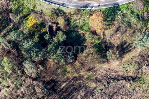Villa i Cinfaes, Viseu, Cinfaes - € 65.000 | Ref: ZMPT588259 - foto 3