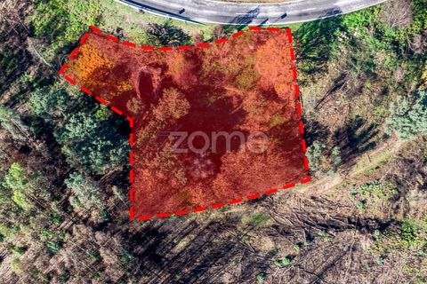 Villa i Cinfaes, Viseu, Cinfaes - € 65.000 | Ref: ZMPT588259 - foto 5