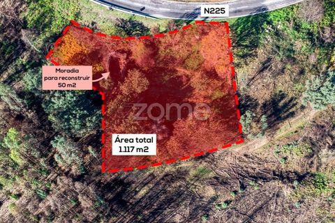 Villa i Cinfaes, Viseu, Cinfaes - € 65.000 | Ref: ZMPT588259 - foto 6
