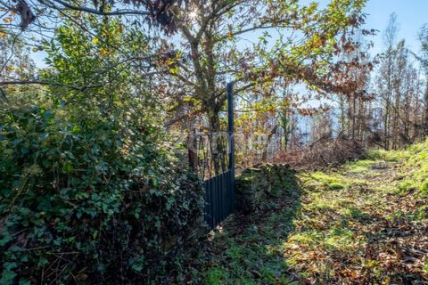 Villa i Cinfaes, Viseu, Cinfaes - € 65.000 | Ref: ZMPT588259 - foto 10