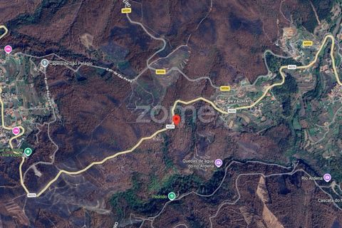 Villa i Cinfaes, Viseu, Cinfaes - € 65.000 | Ref: ZMPT588259 - foto 11