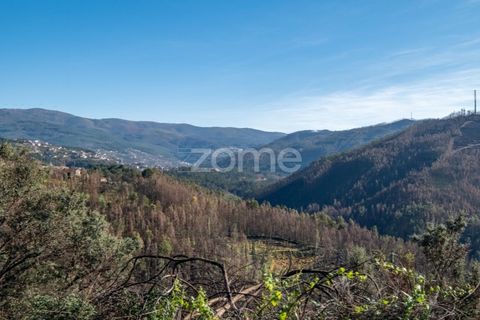 Villa i Cinfaes, Viseu, Cinfaes - € 65.000 | Ref: ZMPT588259 - foto 7