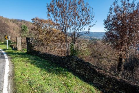 Villa i Cinfaes, Viseu, Cinfaes - € 65.000 | Ref: ZMPT588259 - foto 8