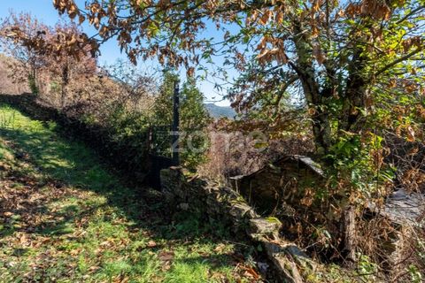 Villa i Cinfaes, Viseu, Cinfaes - € 65 000 | Ref: ZMPT588259 - foto 10