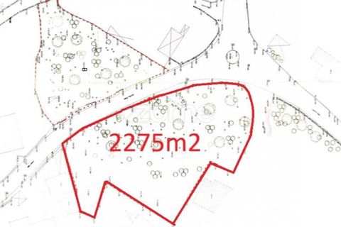 Helårsgrund i Barcelos, Braga, Barcelos - € 320.000 | Ref: ZMPT588782 - foto 15
