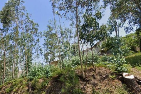 Helårsgrund i Barcelos, Braga, Barcelos - € 320.000 | Ref: ZMPT588782 - foto 13