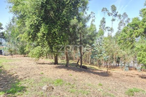 Helårsgrund i Barcelos, Braga, Barcelos - € 320.000 | Ref: ZMPT588782 - foto 11