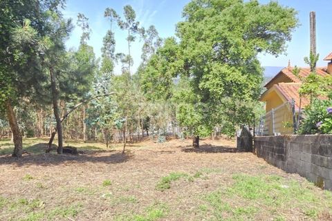 Helårsgrund i Barcelos, Braga, Barcelos - € 320.000 | Ref: ZMPT588782 - foto 2