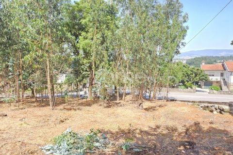 Helårsgrund i Barcelos, Braga, Barcelos - € 320.000 | Ref: ZMPT588782 - foto 1