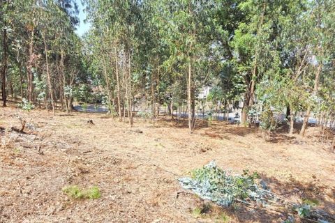 Helårsgrund i Barcelos, Braga, Barcelos - € 320.000 | Ref: ZMPT588782 - foto 3