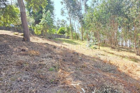 Helårsgrund i Barcelos, Braga, Barcelos - € 320.000 | Ref: ZMPT588782 - foto 6