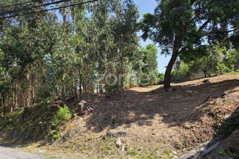 Helårsgrund i Barcelos, Braga, Barcelos - € 320.000 | Ref: ZMPT588782 - foto 14