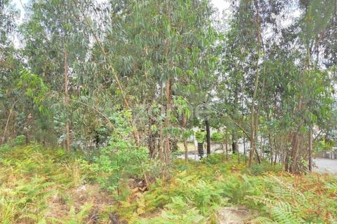 Helårsgrund i Barcelos, Braga, Barcelos - € 320.000 | Ref: ZMPT588782 - foto 10