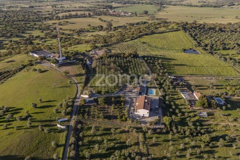Farm i Redondo, Evora, Redondo - € 995.000 | Ref: ZMPT588198 - foto 2