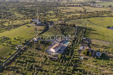 Farm i Redondo, Evora, Redondo - € 995.000 | Ref: ZMPT588198 - foto 4