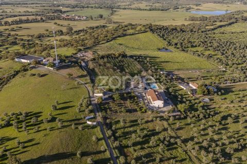 Farm i Redondo, Evora, Redondo - € 995.000 | Ref: ZMPT588198 - foto 6