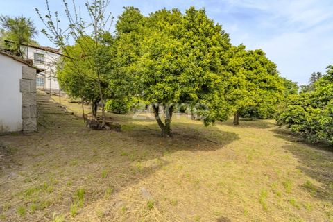 Farm i Arcos de Valdevez, Viana do Castelo, Arcos de Valdevez - € 2.500.000 | Ref: ZMPT587584 - foto 13