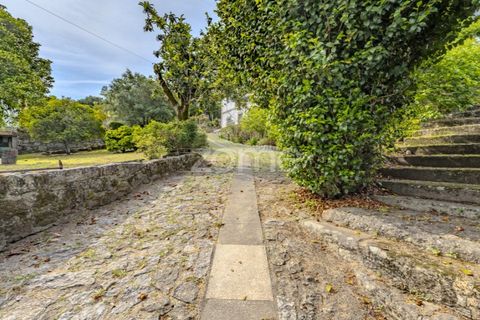 Farm i Arcos de Valdevez, Viana do Castelo, Arcos de Valdevez - € 2.500.000 | Ref: ZMPT587584 - foto 14