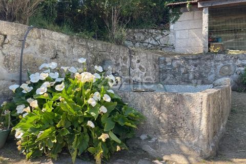 Farm i Arcos de Valdevez, Viana do Castelo, Arcos de Valdevez - € 2.500.000 | Ref: ZMPT587584 - foto 25