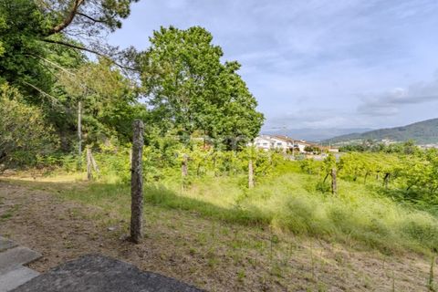 Farm i Arcos de Valdevez, Viana do Castelo, Arcos de Valdevez - € 2.500.000 | Ref: ZMPT587584 - foto 34