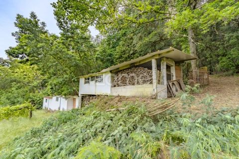 Farm i Arcos de Valdevez, Viana do Castelo, Arcos de Valdevez - € 2.500.000 | Ref: ZMPT587584 - foto 35