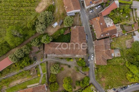 Farm i Arcos de Valdevez, Viana do Castelo, Arcos de Valdevez - € 2.500.000 | Ref: ZMPT587584 - foto 36