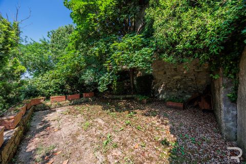 Villa i Scansano, Grosseto, Scansano - € 220.000 | Ref: R06464SCTE - foto 37