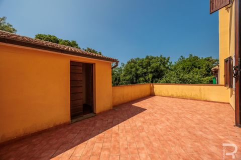 Villa i Scansano, Grosseto, Scansano - € 220.000 | Ref: R06464SCTE - foto 25