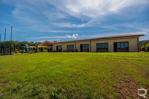 Farm i Capalbio, Grosseto, Capalbio - € 7.000.000 | Ref: R06400AZCA - foto 13
