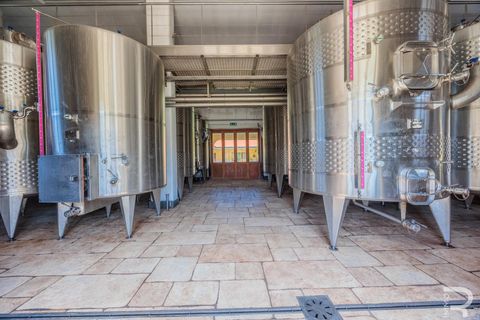 Farm i Capalbio, Grosseto, Capalbio - € 7.000.000 | Ref: R06400AZCA - foto 29