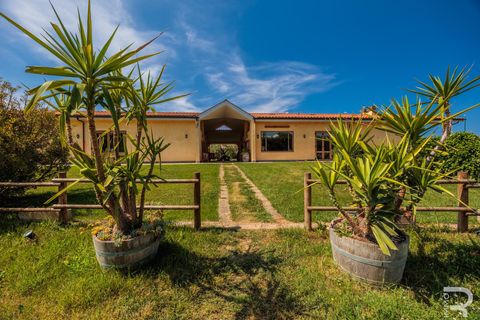 Farm i Capalbio, Grosseto, Capalbio - € 7.000.000 | Ref: R06400AZCA - foto 12