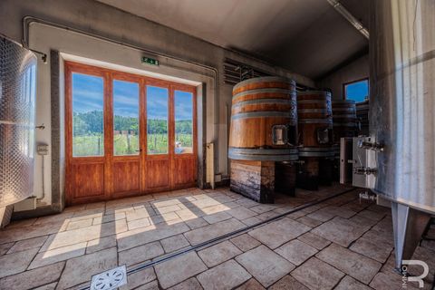 Farm i Capalbio, Grosseto, Capalbio - € 7.000.000 | Ref: R06400AZCA - foto 28