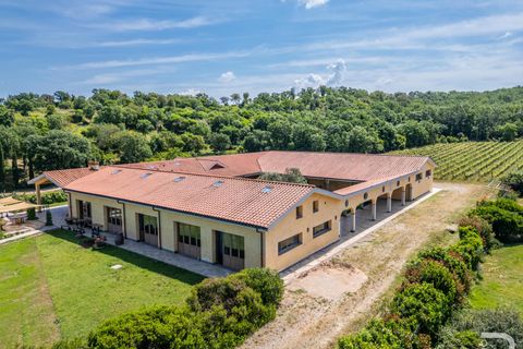 Farm i Capalbio, Grosseto, Capalbio - € 7.000.000 | Ref: R06400AZCA - foto 6