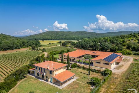 Farm i Capalbio, Grosseto, Capalbio - € 7.000.000 | Ref: R06400AZCA - foto 2