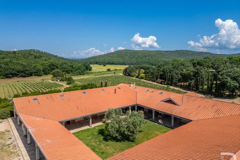 Farm i Capalbio, Grosseto, Capalbio - € 7.000.000 | Ref: R06400AZCA - foto 9