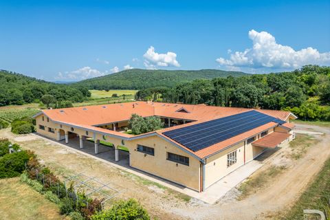 Farm i Capalbio, Grosseto, Capalbio - € 7.000.000 | Ref: R06400AZCA - foto 8