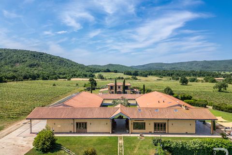 Farm i Capalbio, Grosseto, Capalbio - € 7.000.000 | Ref: R06400AZCA - foto 3