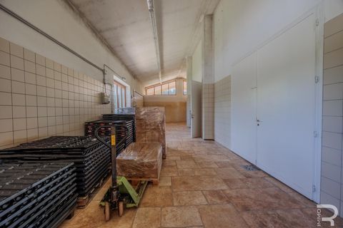 Farm i Capalbio, Grosseto, Capalbio - € 7.000.000 | Ref: R06400AZCA - foto 25