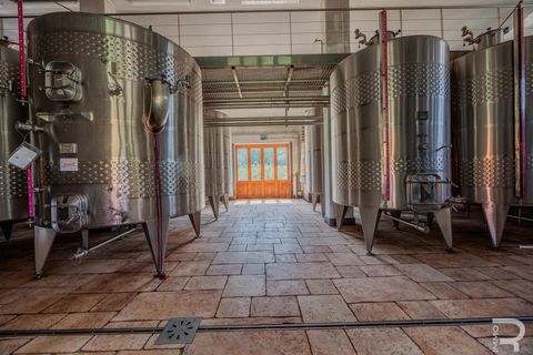 Farm i Capalbio, Grosseto, Capalbio - € 7.000.000 | Ref: R06400AZCA - foto 27