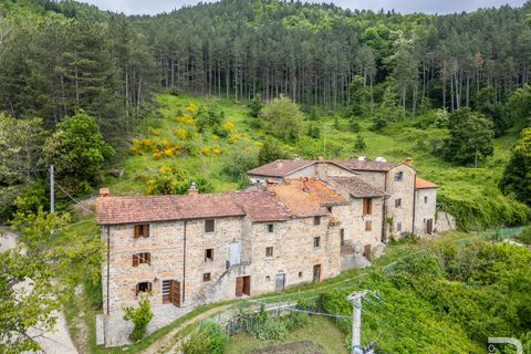 Landejendom i Bibbiena, Arezzo, Bibbiena - € 700.000 | Ref: R06394BIRU - foto 4
