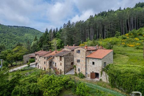 Landejendom i Bibbiena, Arezzo, Bibbiena - € 700.000 | Ref: R06394BIRU - foto 1