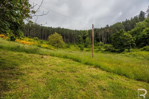 Landejendom i Bibbiena, Arezzo, Bibbiena - € 700.000 | Ref: R06394BIRU - foto 18
