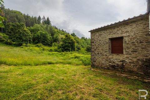 Landejendom i Bibbiena, Arezzo, Bibbiena - € 700.000 | Ref: R06394BIRU - foto 20