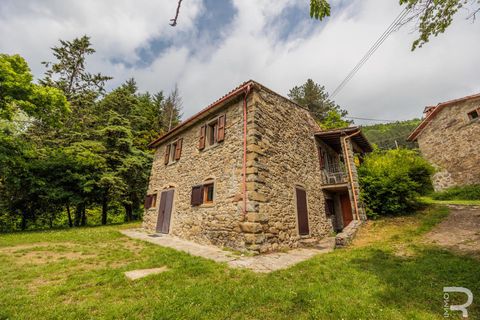Landejendom i Bibbiena, Arezzo, Bibbiena - € 700.000 | Ref: R06394BIRU - foto 23